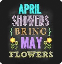Thumbnail for April Showers Brought May Flowers